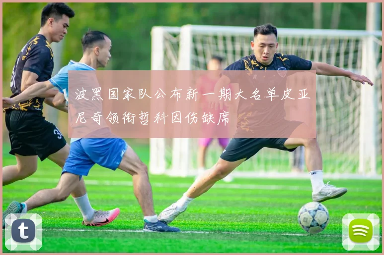 波黑国家队公布新一期大名单皮亚尼奇领衔哲科因伤缺席