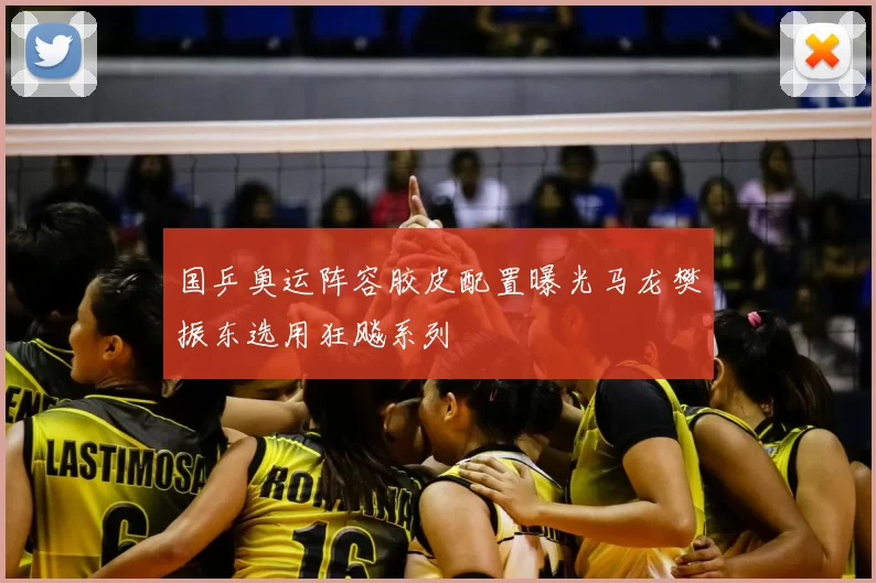 国乒奥运阵容胶皮配置曝光马龙樊振东选用狂飚系列