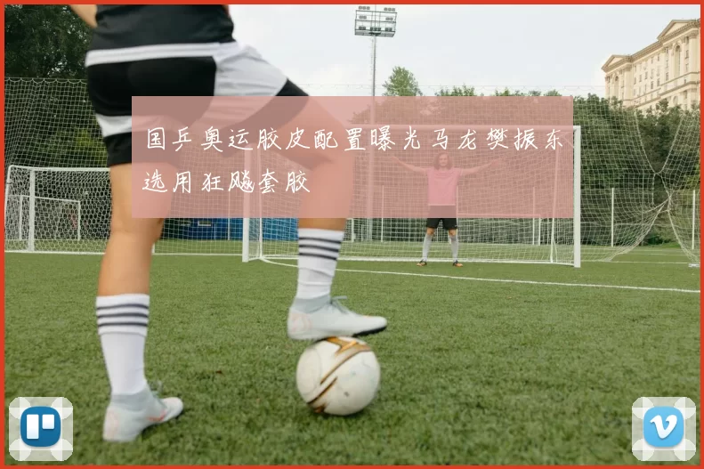 国乒奥运胶皮配置曝光马龙樊振东选用狂飚套胶