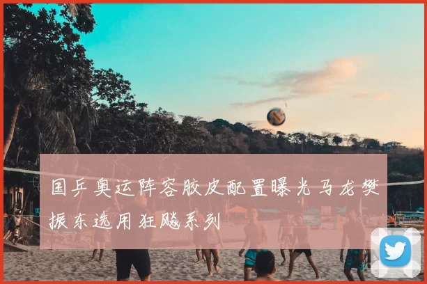 国乒奥运阵容胶皮配置曝光马龙樊振东选用狂飚系列