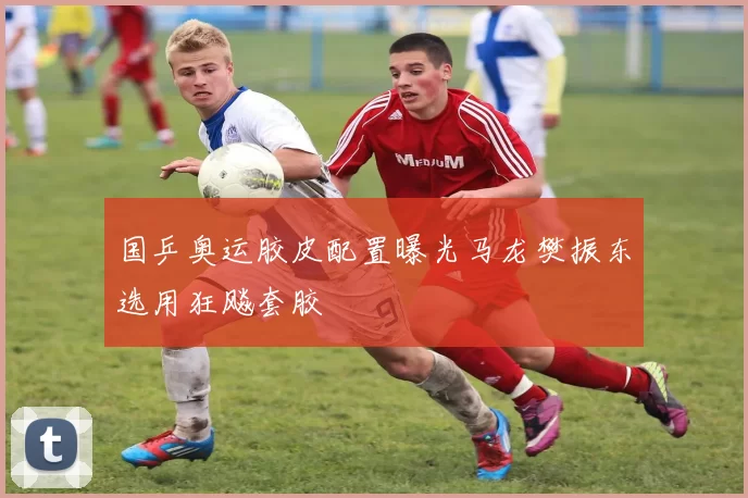 国乒奥运胶皮配置曝光马龙樊振东选用狂飚套胶