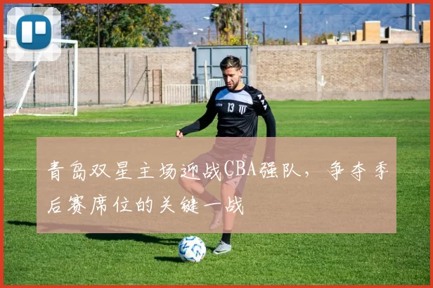 青岛双星主场迎战CBA强队，争夺季后赛席位的关键一战